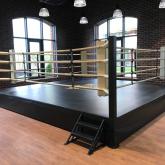 Боксерский ринг TARGEX, помост 0.5м