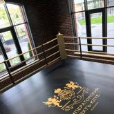 Боксерский ринг TARGEX, помост 0.5м