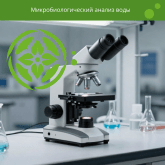 Микробиологический анализ воды