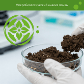 Микробиологический анализ почвы