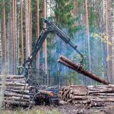 «ГосЛесФонд»