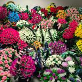 Filory - дом цветов