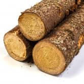 «ГосЛесФонд»