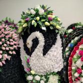 Filory - дом цветов