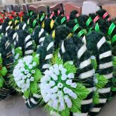 Filory - дом цветов