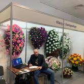 Filory - дом цветов