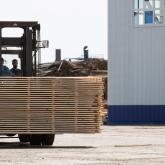 «ГосЛесФонд»