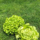 ИП Качура Надежда Александровна