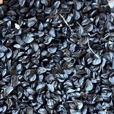 ИП Качура Надежда Александровна