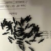 Вставка для станков, щуп для измерителя, покрытие химическое оксидирование