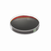 Bioeffective I — это 100% натуральный клеточный сок хвои пихты сибирской. Уникальная запатентованная технология CО2 экстракции. Комплексное действие • Повышает устойчивость организма к респираторным инфекциям  • Снимает последствия стрессовых ситуаций • Способствует восстановлению организма после тяжелых и длительных заболеваний • Нормализует биологические ритмы, что значительно повышает качество жизни • Восполняет недостаток железа в организме • Обладает антиоксидантным и антитоксическим действием 