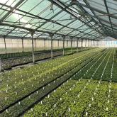 ООО "СОВЬЯКИ-ПАРК"