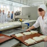 Антипригарное силиконовое полотно