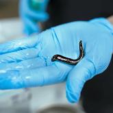 Гириду-мед.рф