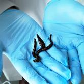 Гириду-мед.рф