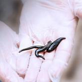 Гириду-мед.рф