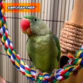 ЕВРОПАРТНЕР