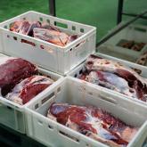 ООО «РАПСОДИЯ»