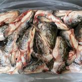 ИП Дюбарь Анна Андреевна