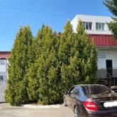 Межгосметиз-Мценск