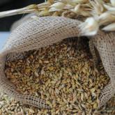 зерносмесь