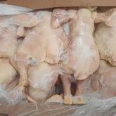 ООО «РАПСОДИЯ»