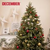 DECEMBER- ООО Агат