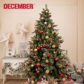 DECEMBER- ООО Агат