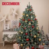 DECEMBER- ООО Агат