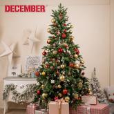 DECEMBER- ООО Агат