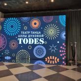 Шоу-балет "TODES" г. Москва