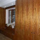 отделка стеновыми панелями в шпоне