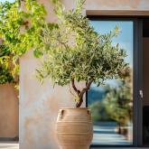 Древнегреческий большой горшок