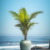 Кашпо «Маяк» серия «Океан»