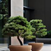 Большое керамическое кашпо «Полусфера»