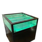 Морская витрина для устриц 