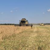 полный цикл выращивания семян