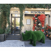 Фабрика Бачо