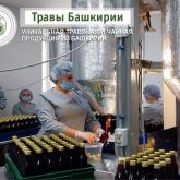 Травы Башкирии