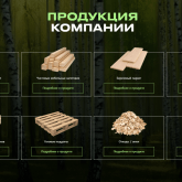 Сибирская Береза