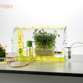 Переносной комплект «Чудо-грядка» — это мобильный учебный комплекс для естественнонаучного биологического практикума, позволяющий наблюдать процессы жизненных циклов растений.