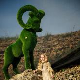 Фабрика Бачо