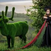 Фабрика Бачо