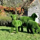 Фабрика Бачо