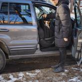 ХАНТИНГ ПОНИ