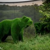 Фабрика Бачо