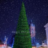 Уличная Ель