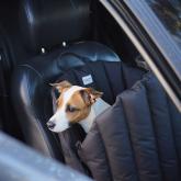 ХАНТИНГ ПОНИ