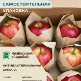 Антибактериальная бумага - инновационный продукт, с запатентованной технологией промышленного производства без аналогов в РФ