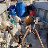 ООО Меркурий